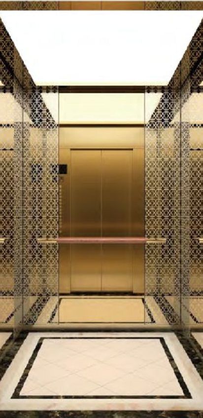 Smr Passneger Elevator